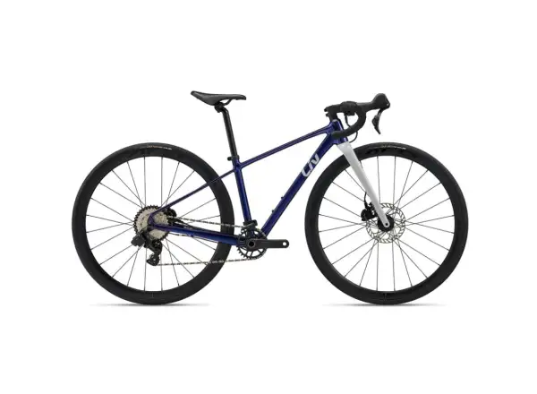 Liv Seek 2 Kinder-Rennrad Purple Haze