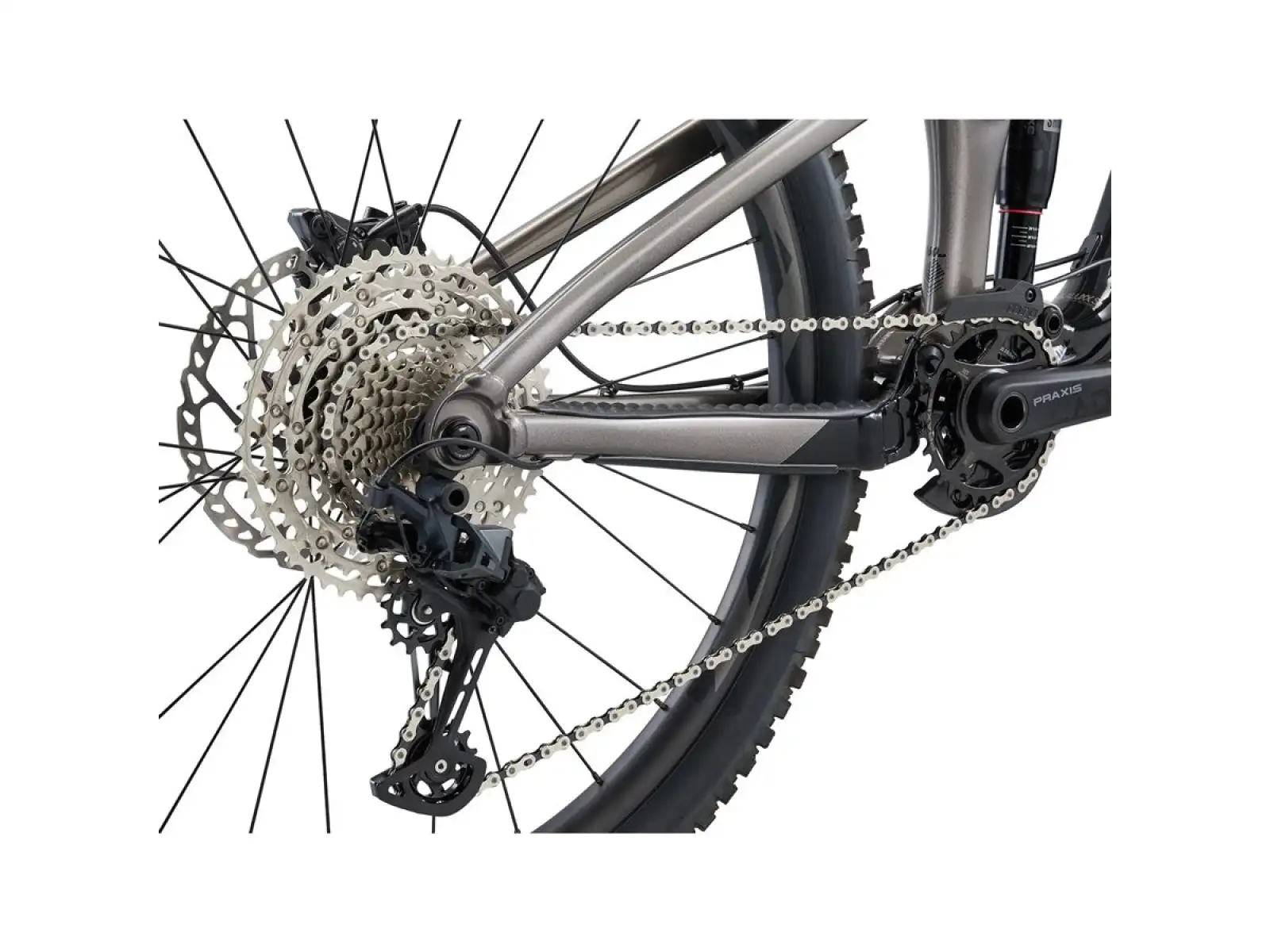 Giant Reign 2 Mountainbike schwarz/metallisch