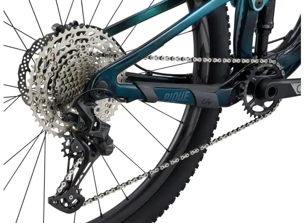 Liv Pique Advanced Pro 29 Mountainbike Phoenix Fanatic Teal/Dark Green