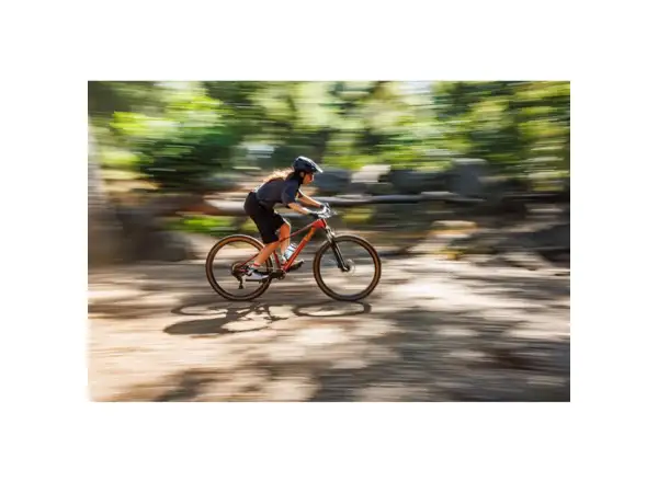 Giant Tempt 29 2 Mountainbike Mars Dust