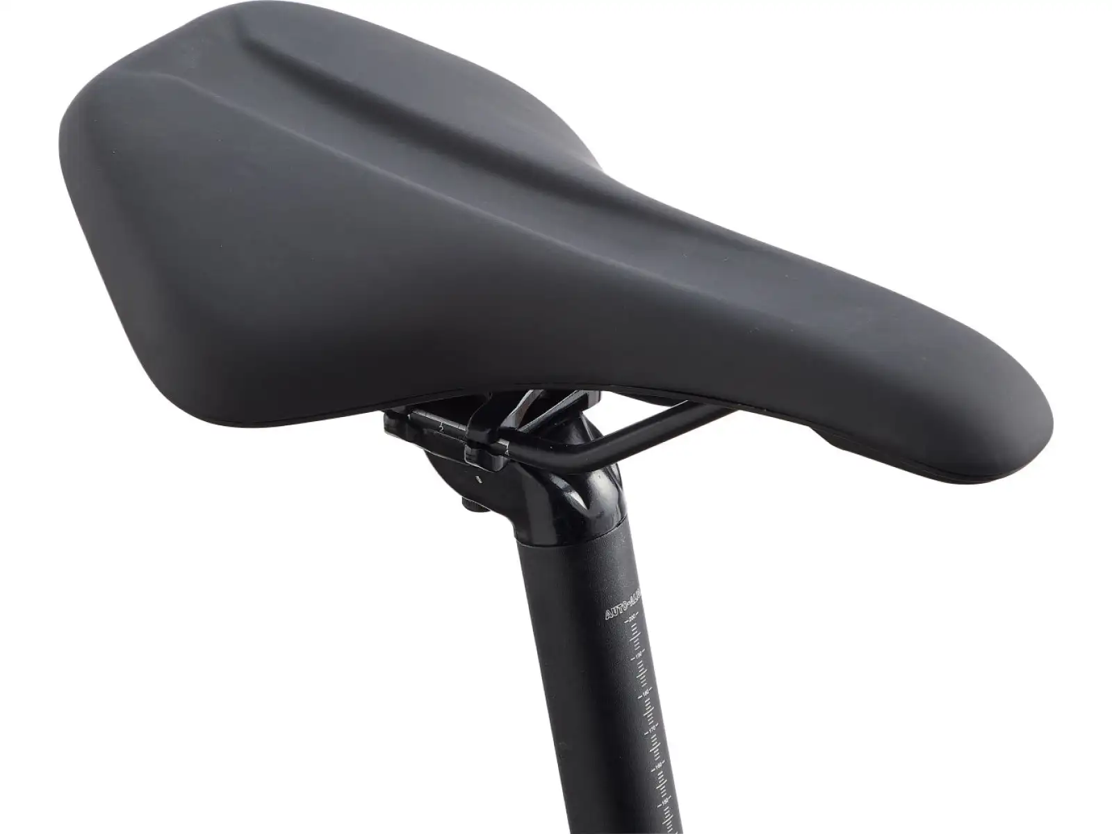 Giant Roam 2 Disc Schwarz Trekkingrad
