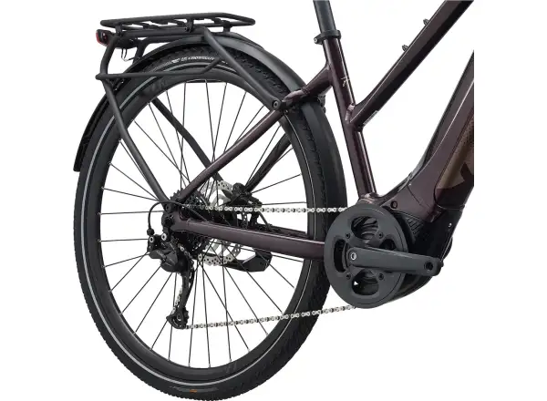 Liv Amiti E+2 Trekking E-Bike in Rosewood Color