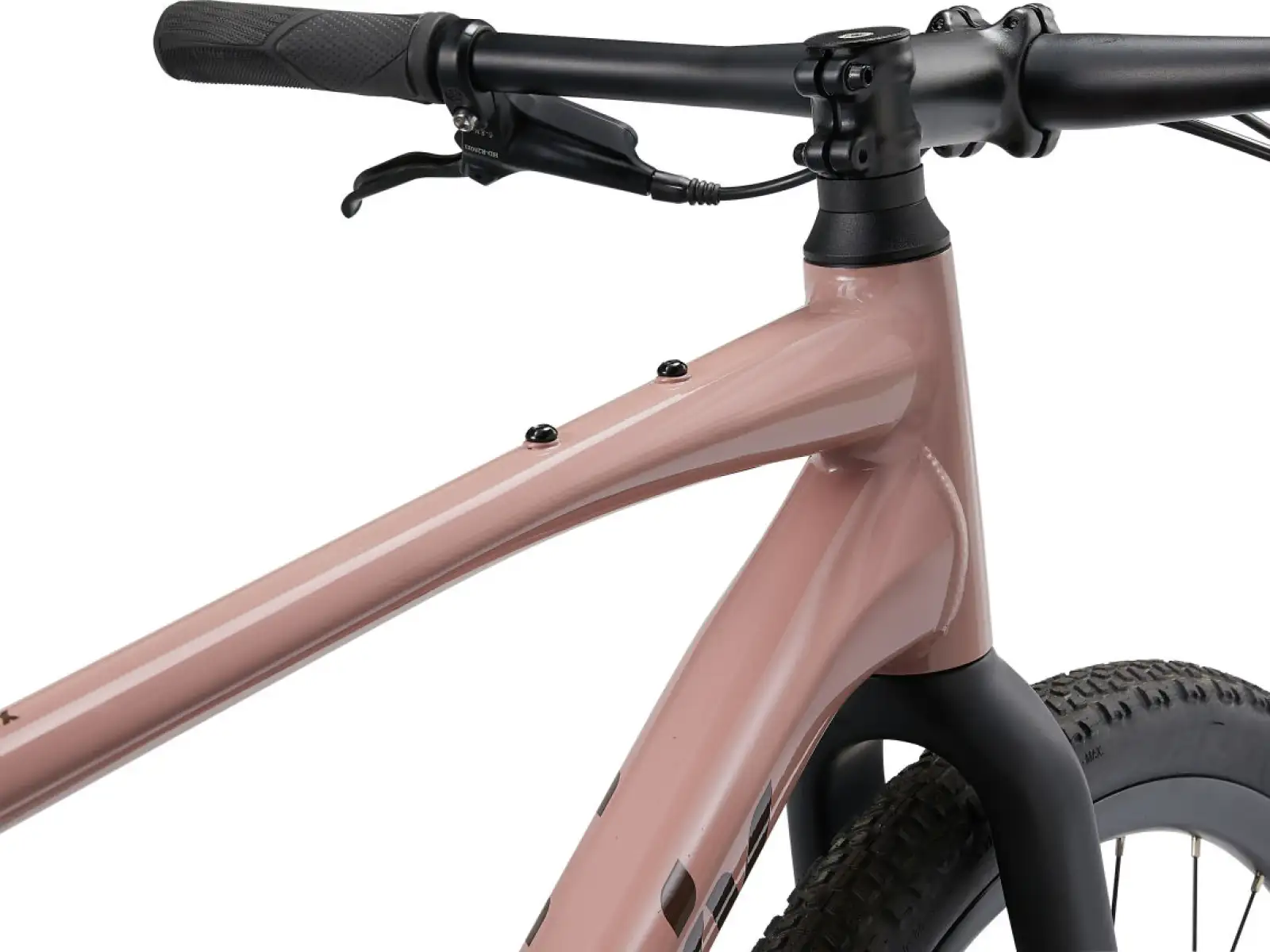 Liv Thrive GX Fitnessrad von Petra Clay.