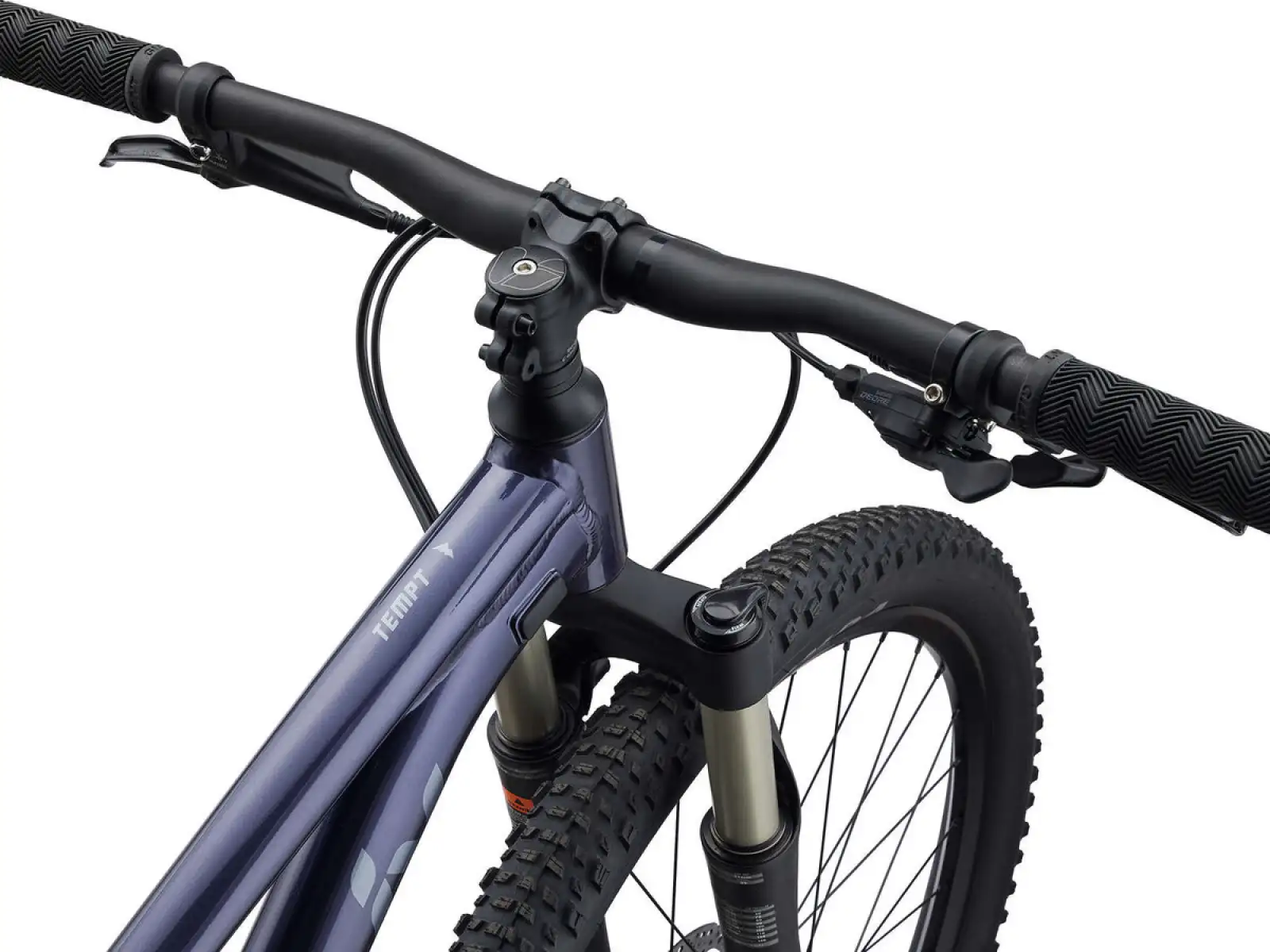 Liv Tempt 29 1 GE Mountainbike Milchstraße