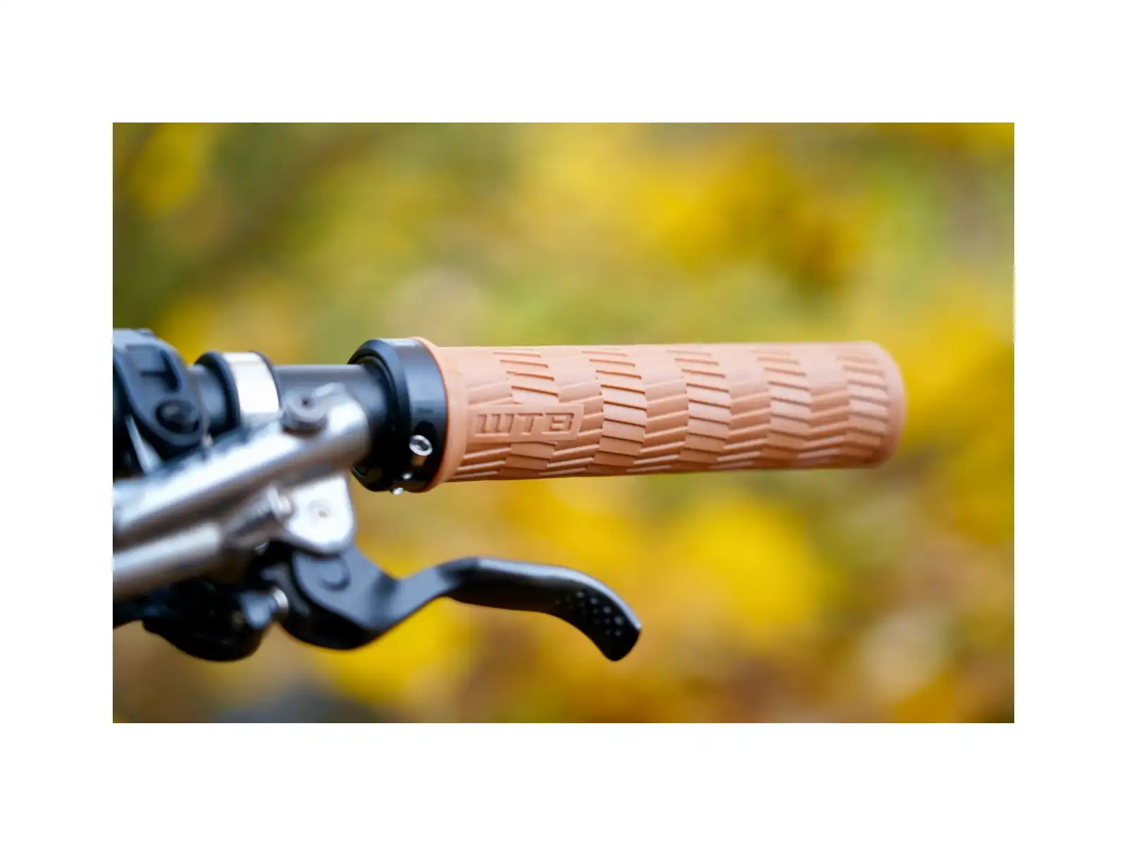 WTB Burr Single Clamp Griffe beige