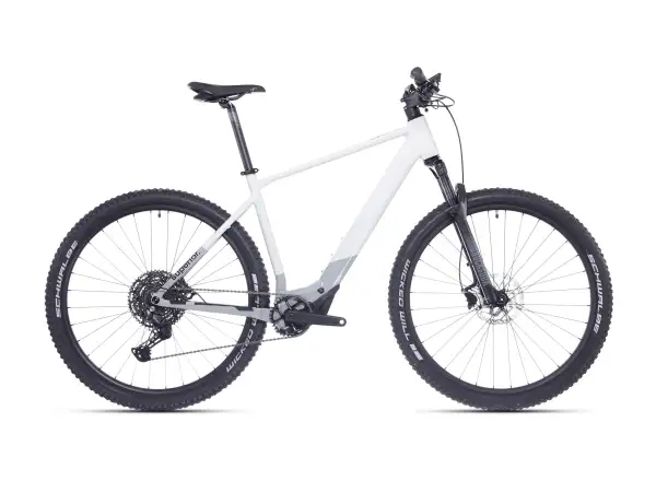 Superior iXP 6.5 E-Mountainbike Gloss Grey