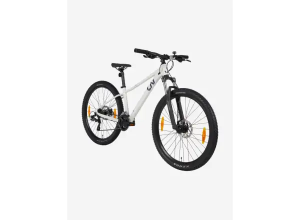 Liv Tempt 5 Mountainbike Schneewehen
