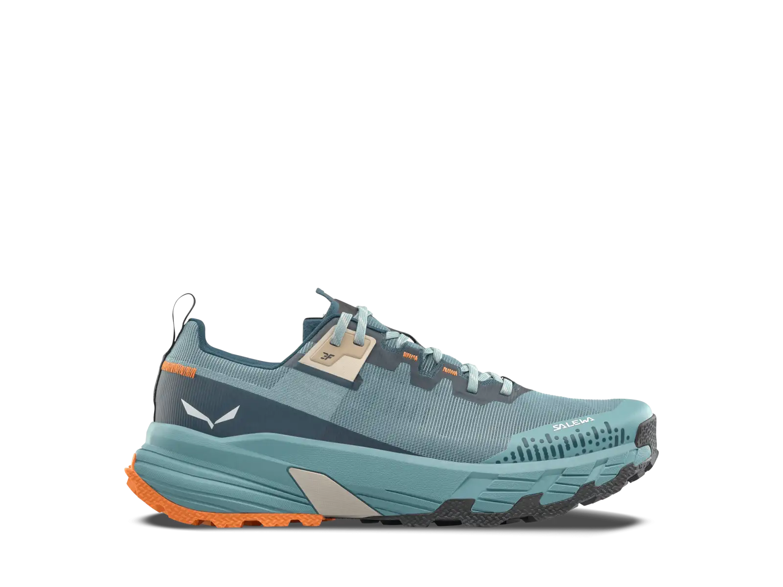 Salewa Pedroc 2 Max Herren Schuhe Willow/Pond