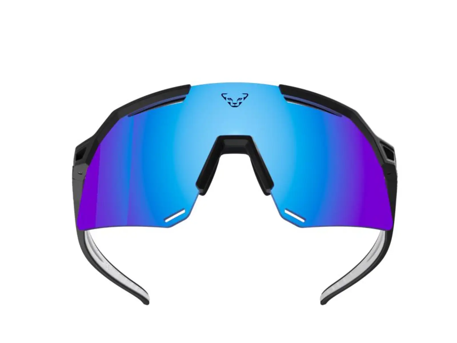 Dynafit Ultra Pro Brille Schwarz/Weiß