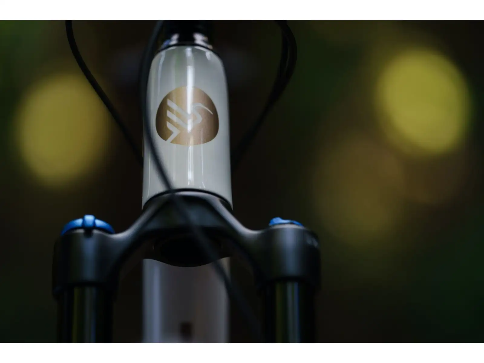 Ibis Exie V2 GX 29" Mountainbike Rahmen