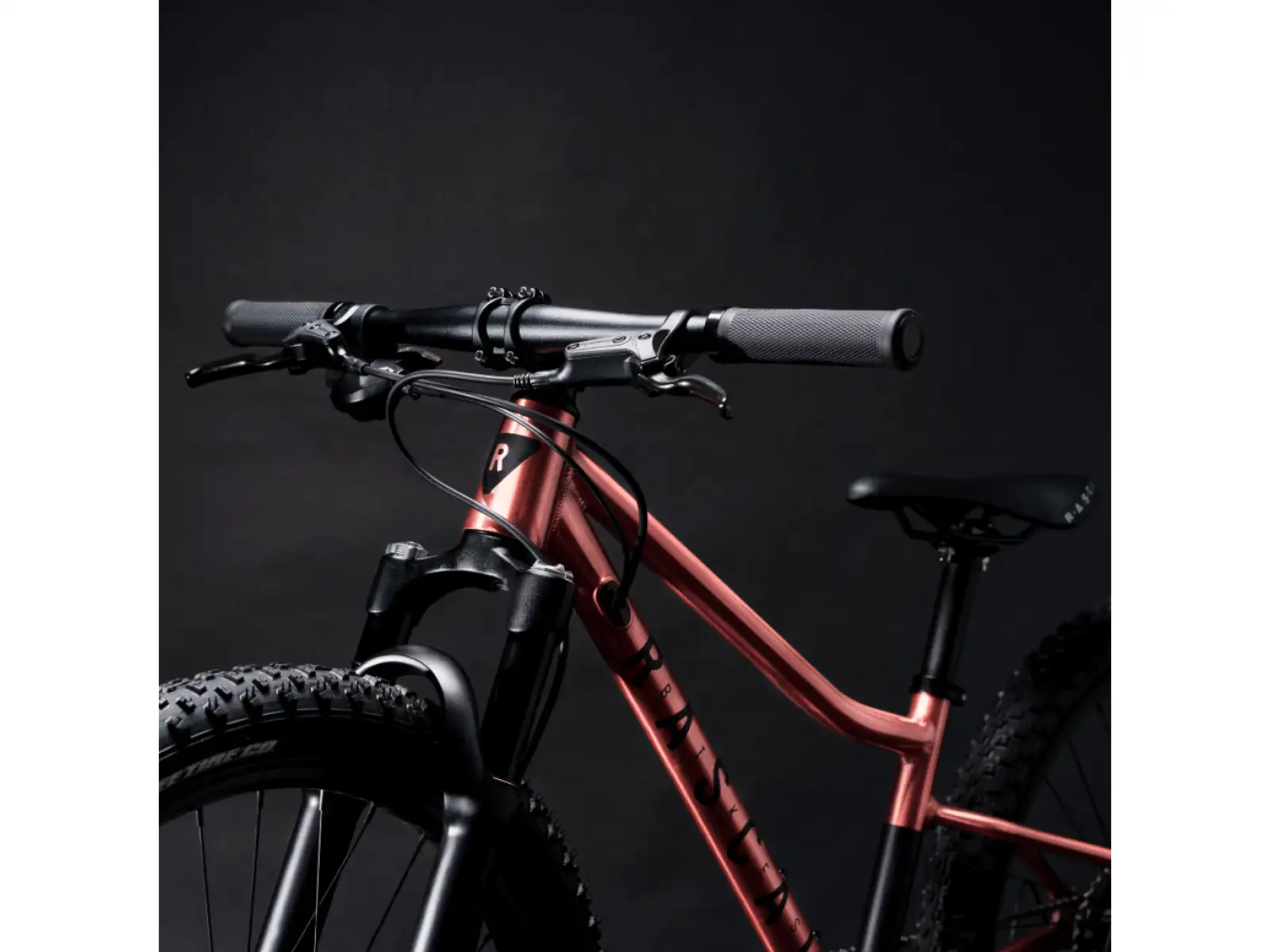 Rascal Wild 24 Kinderfahrrad Bronze