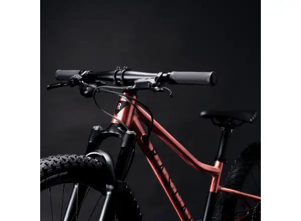 Rascal Wild 24 Kinderfahrrad Bronze