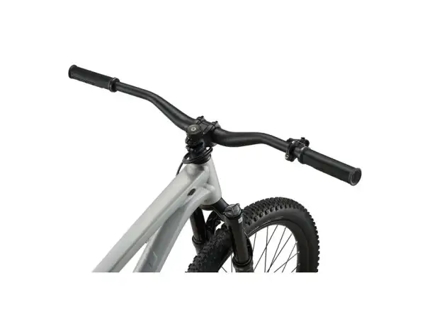 Giant STP 26 Dirtbike Brush Aluminum