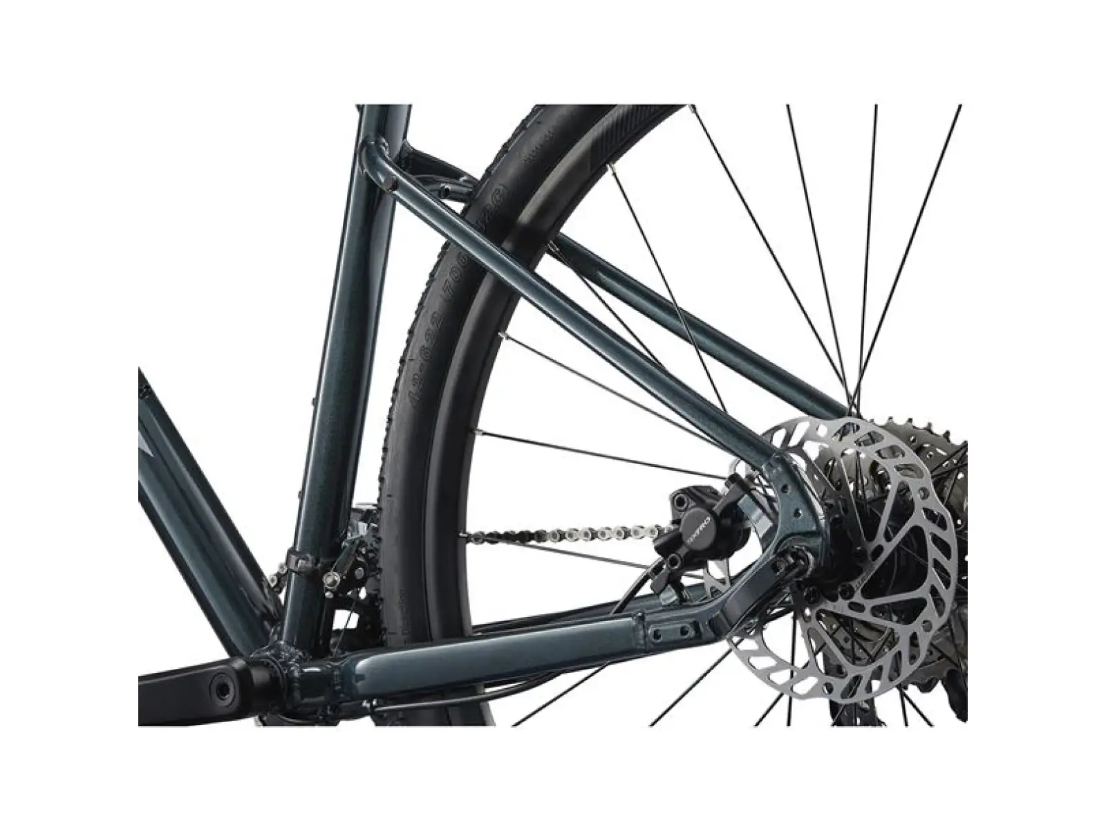 Giant Roam 2 Asphalt Trekkingrad Green