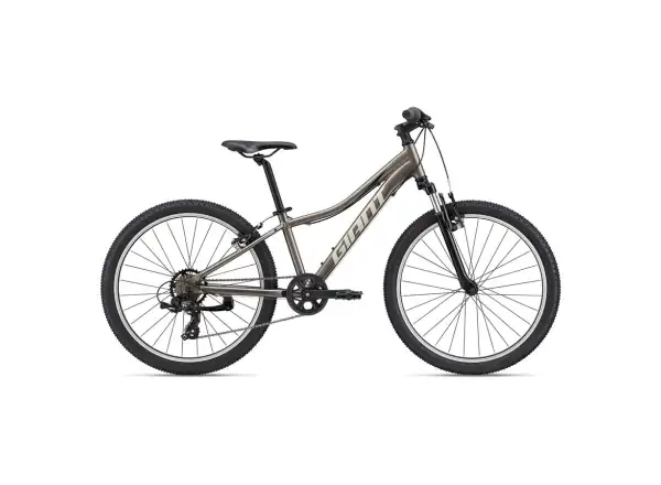 Giant XTC Jr 24 Kinderfahrrad Metal