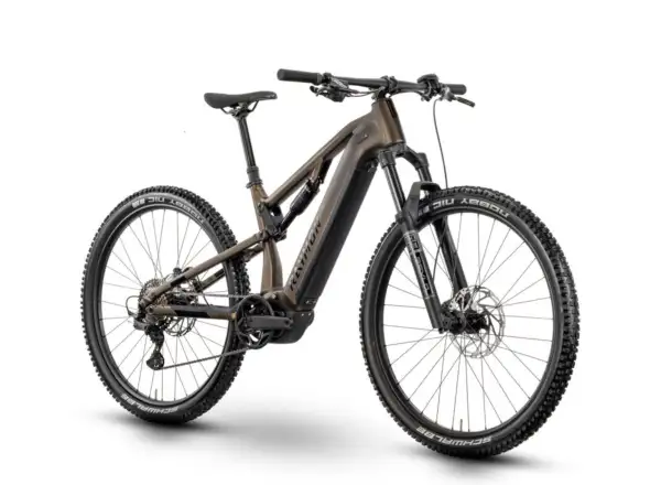 Raymon Trailray 120 Pro E-Bike Tenmokubrown