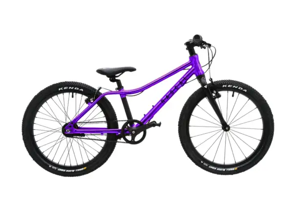Rascal 20 Kinderfahrrad Amethyst Limited