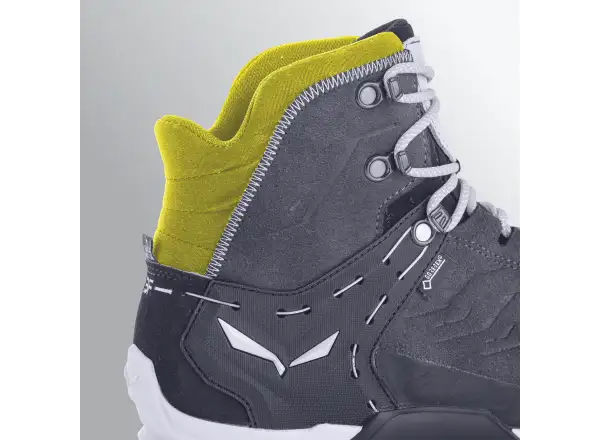 Salewa Alp Trainer 2 GTX Herrenschuhe Bungee Cord/Black