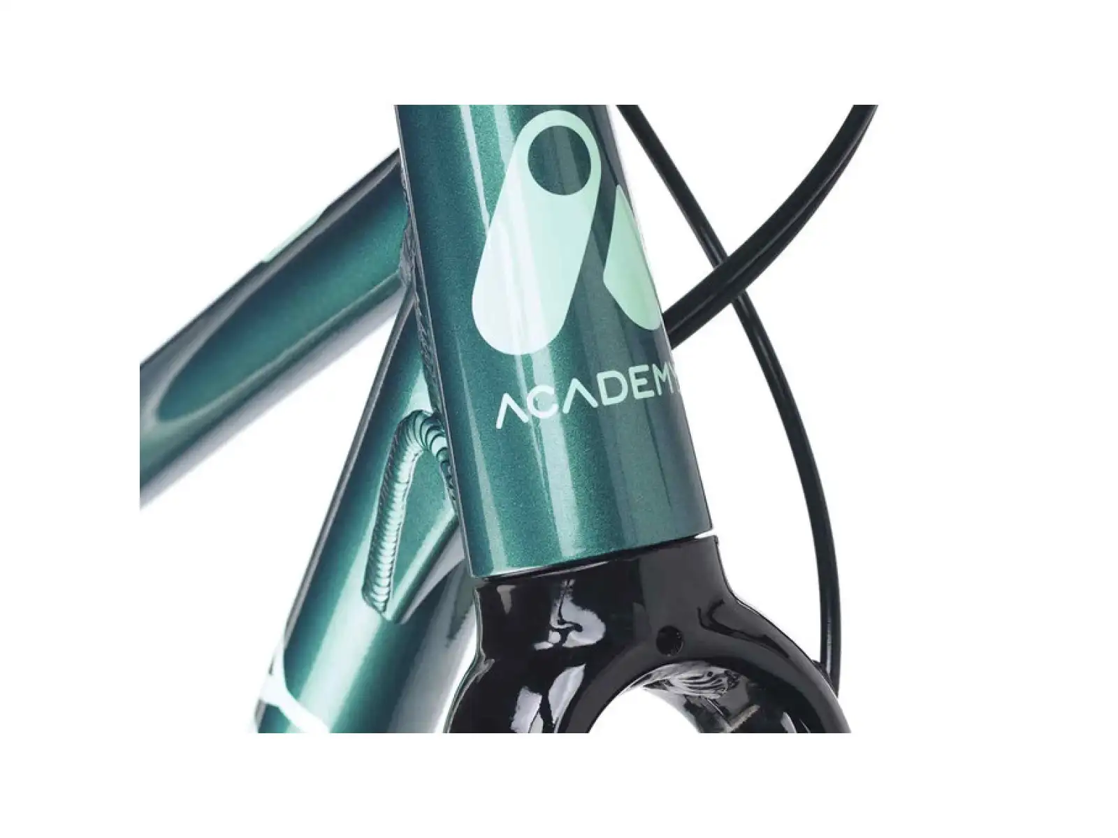 Academy S-Grade Gravel 5 Kinderfahrrad 24 Zoll Grün