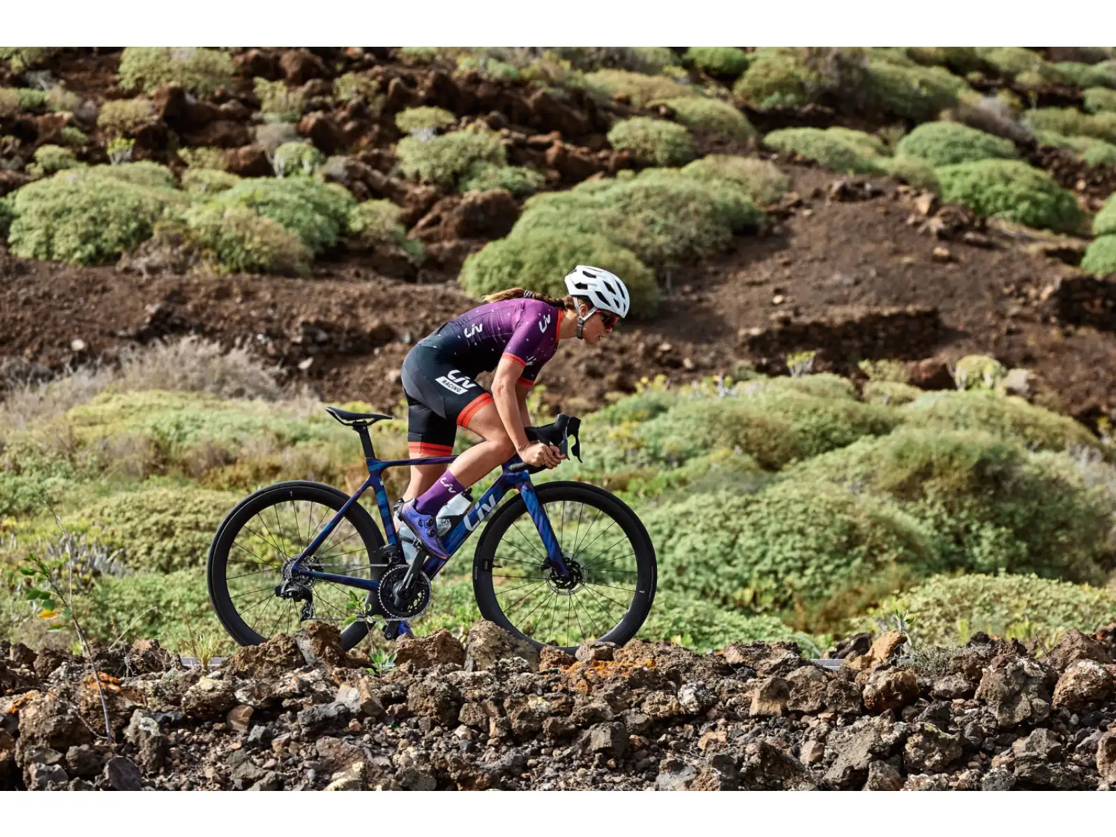 Liv EnviLiv Advanced Pro Damen Rennrad Carbon