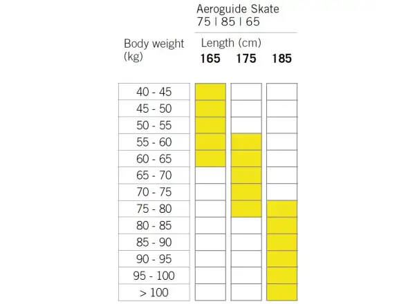 Fischer Aeroguide Skate 65 Control Skate Langlaufski + Control Skate Bindung Set