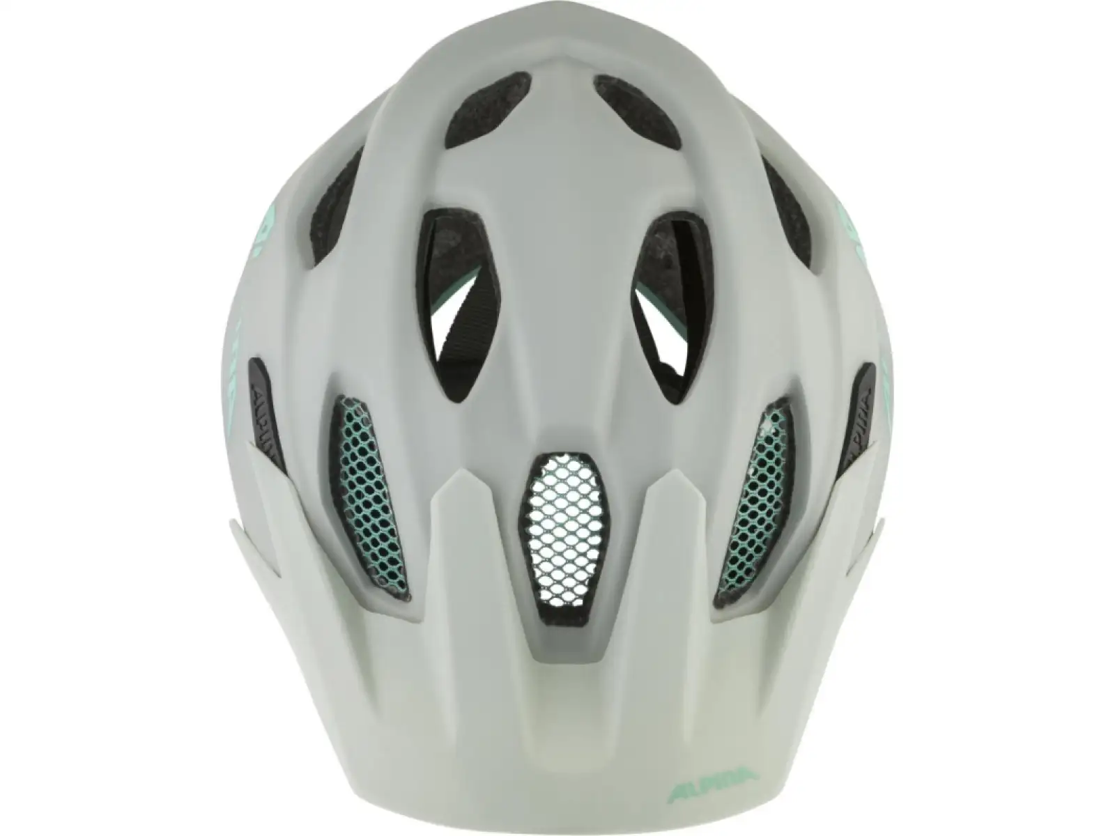 Alpina Apax JR. MIPS Smoke/Grey Turquoise Matt