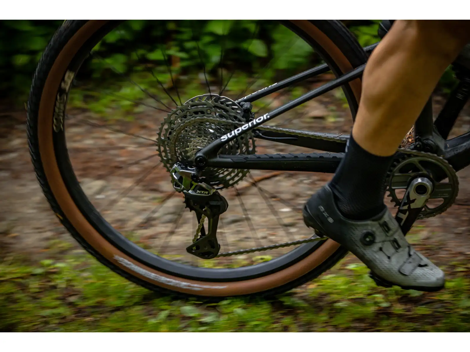 Superior MTB – XF 9.9 Team Gloss Carbon/Red
