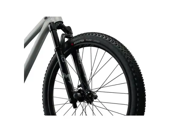Giant STP 26 Dirtbike Brush Aluminum