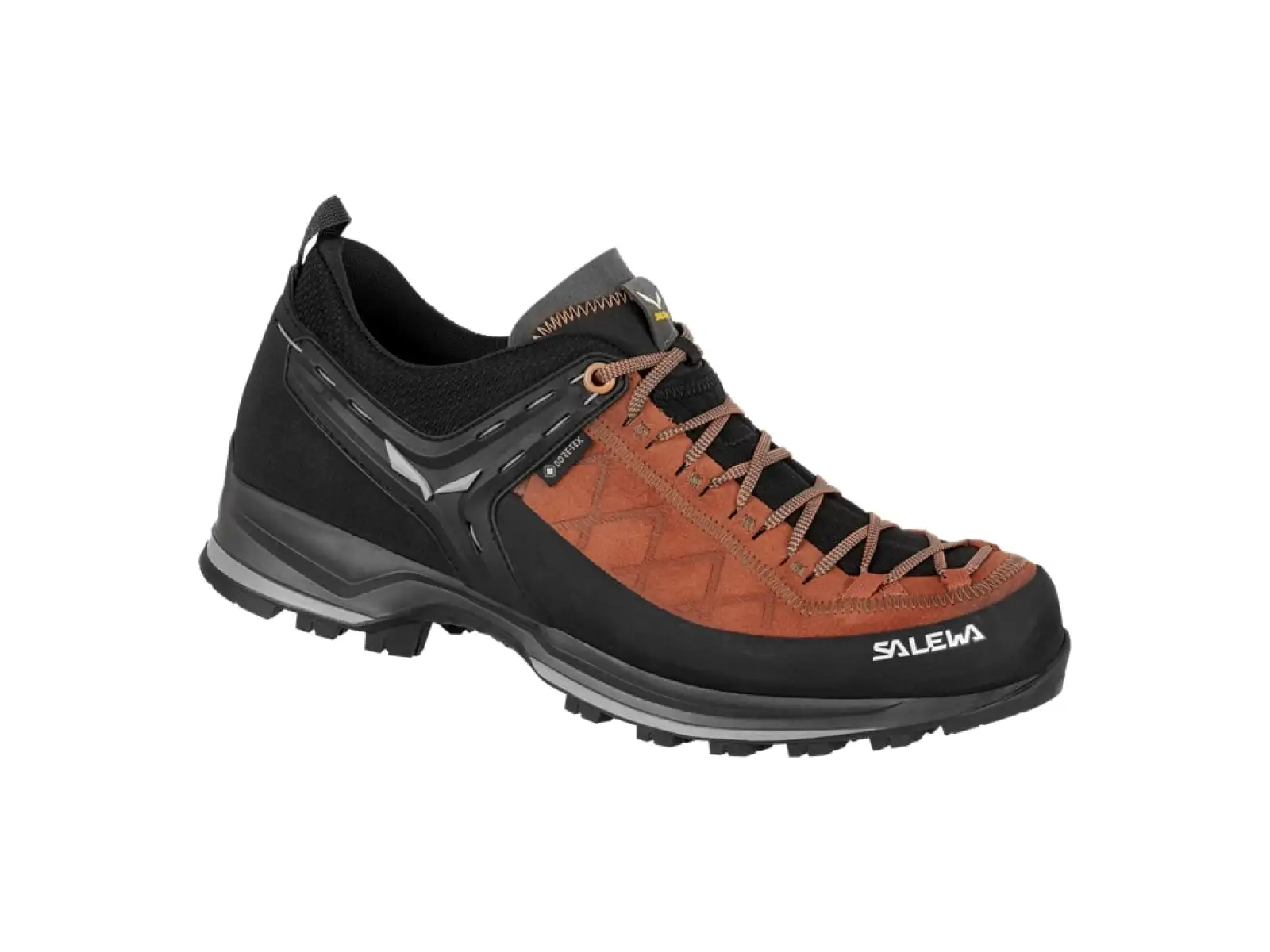 Salewa MTN Trainer 2 GTX MS Herren Trekkingstiefel