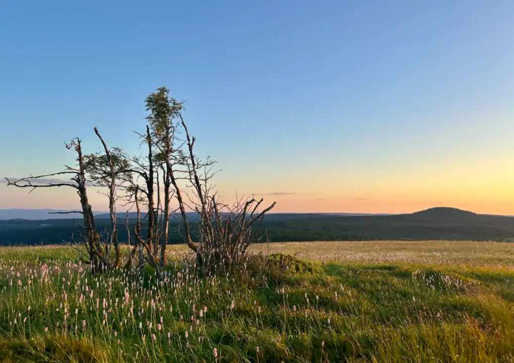 Ein toller Tipp für eine Wanderung in Boží Dar im Erzgebirge