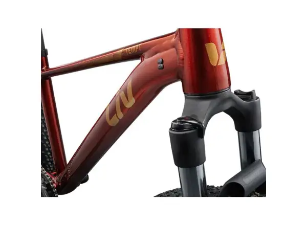 Giant Tempt 2 XS Mountainbike Mars Dust