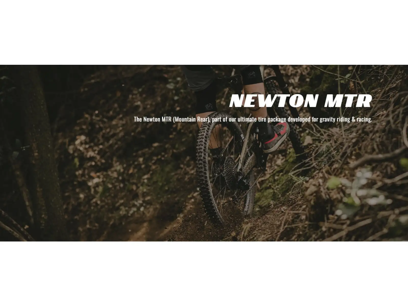 Goodyear Newton MTR Enduro Tubeless Komplett 27,5x2,60" MTB Reifen Kevlar