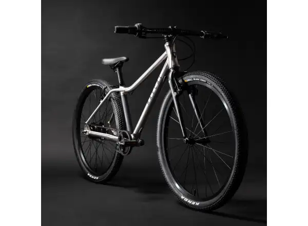 Rascal 24 5 sp. Sturmey Archer Kinderfahrrad Titan