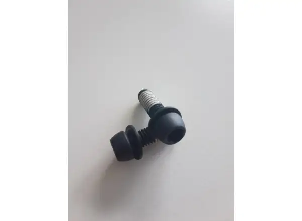 Sram Mounting Bolts Stahlschrauben für Bremssattel 2 St.