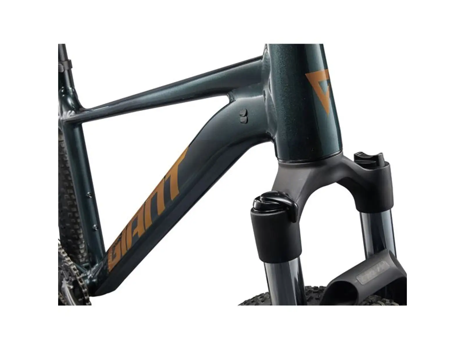 Giant Talon 29 2 Mountainbike Asphalt Green