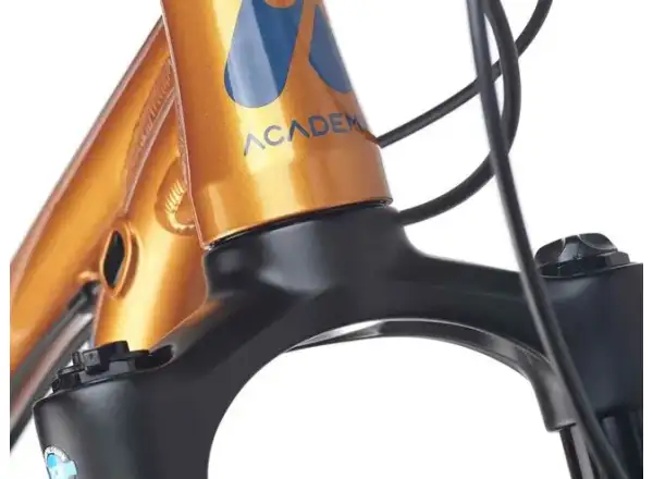 Academy S-Grade Trail 5 Kinderfahrrad 24" orange