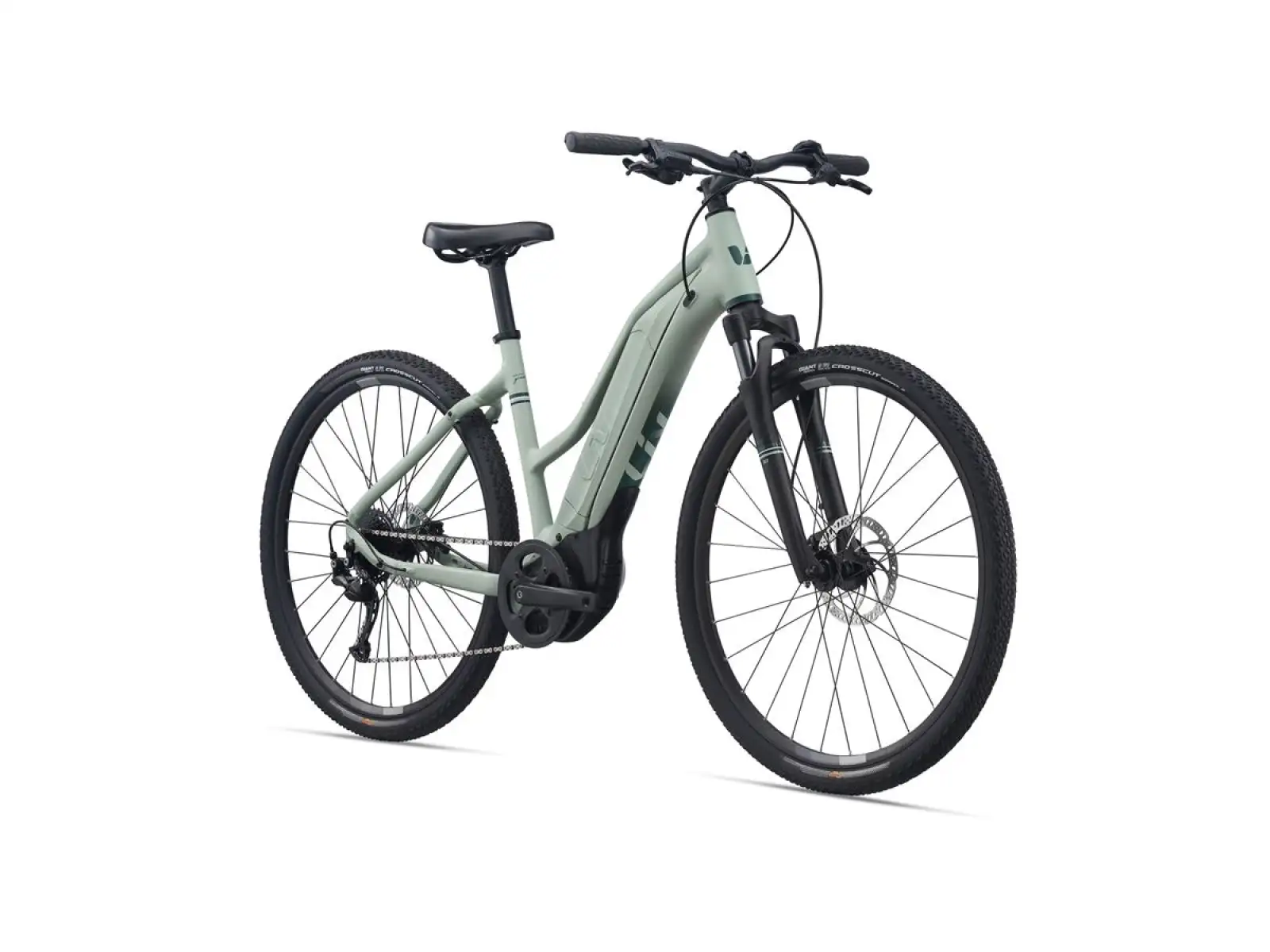 Liv Rove E+ Damen E-Bike Laurel