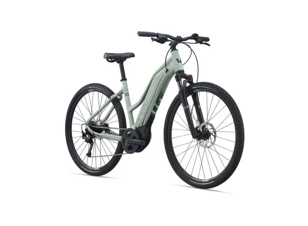 Liv Rove E+ Damen E-Bike Laurel