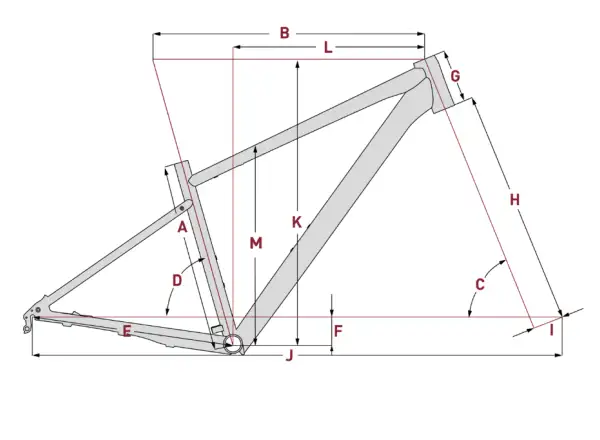 Focus Whistler 3.6 EQP DI 29" Mountainbike Schiefergrau.