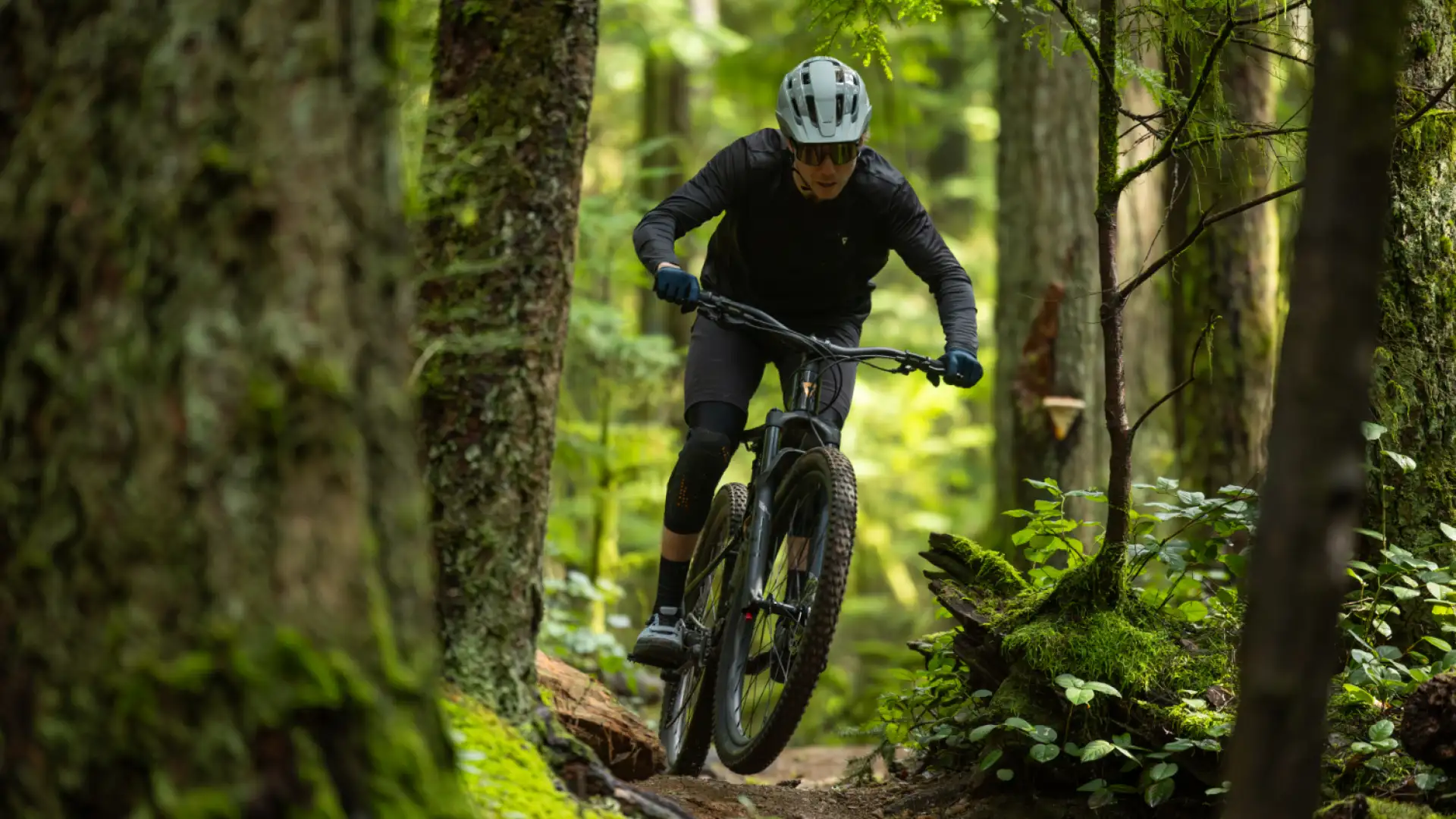 Neues Giant Stance und Liv Embolden 2026: Trailbikes, die schon lange nicht mehr nur für Anfänger sind