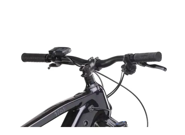 Crussis e-Atland 10.10-L (900 Wh) Mountain-E-Bike