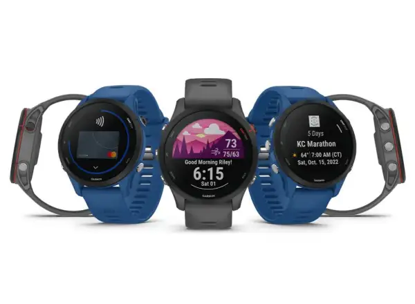 Garmin Forerunner 255 Smartwatch Slate Gray