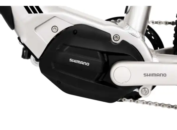 Rock Machine Torrent e30-29 Mountain E-Bike Gloss Silver/Black