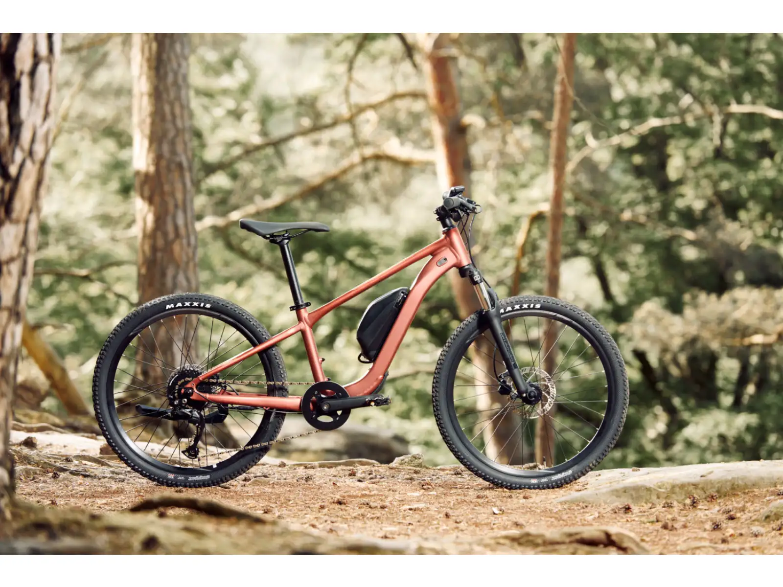 Giant Talon E+ Junior 24 Kinder E-Bike Terracotta