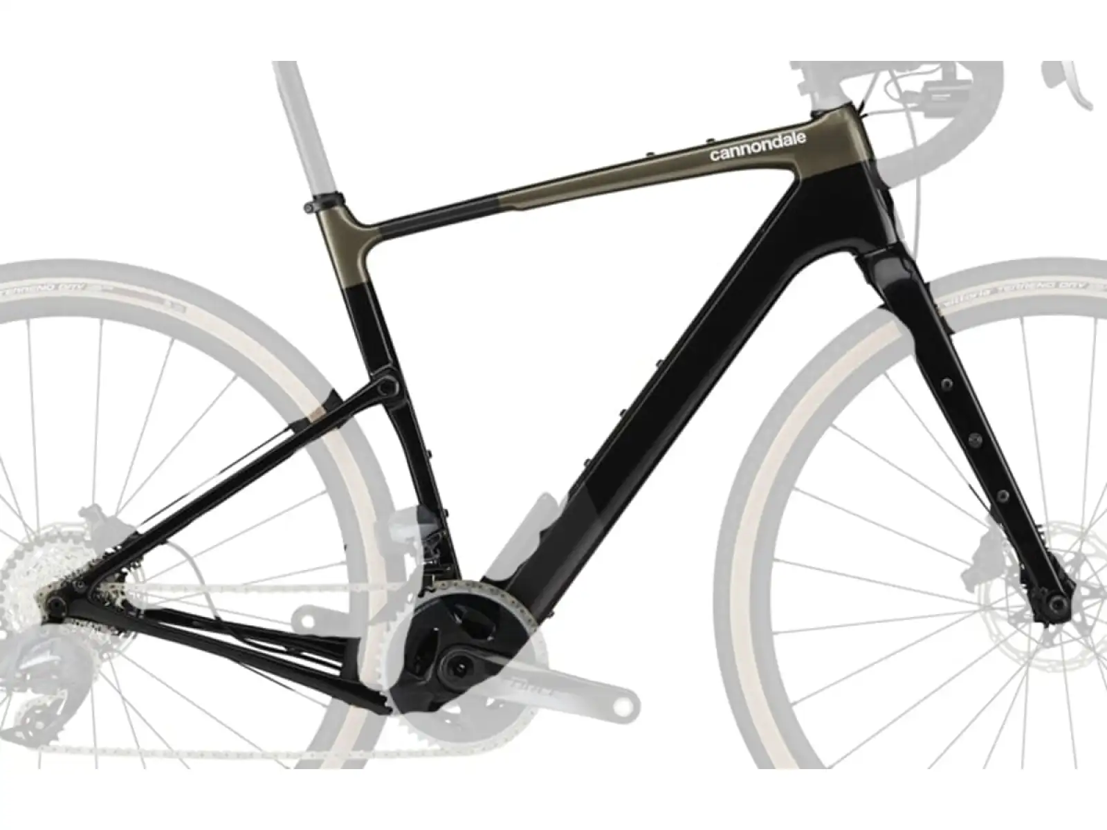 Cannondale Topstone Carbon Gravel Rahmen BPL