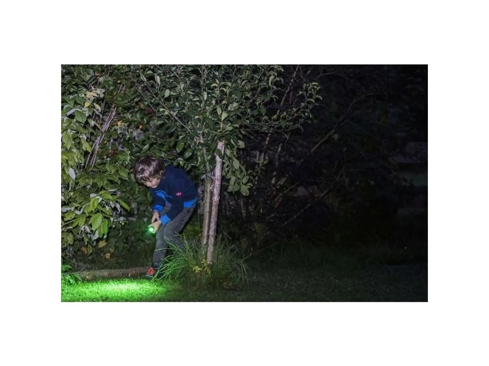 Ledlenser KidBeam4 Dino Taschenlampe