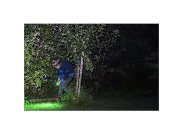 Ledlenser KidBeam4 Dino Taschenlampe
