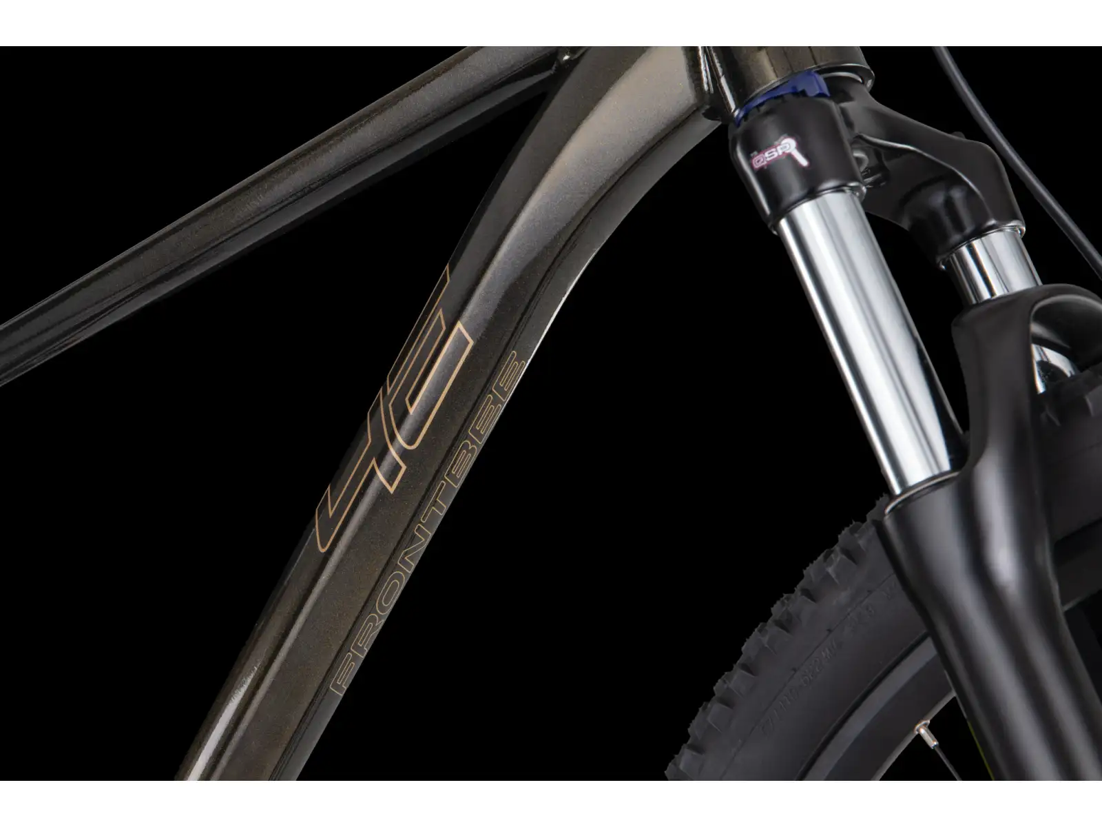 4Ever Frontbee XCM 29" Mountainbike Gold galaxy