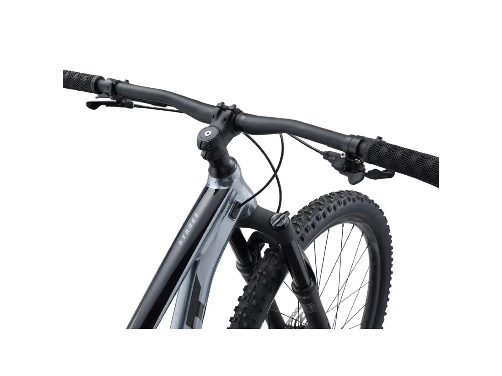 Giant Stance 29 2 mountain bike Ritterschild