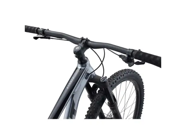 Giant Stance 29 2 mountain bike Ritterschild